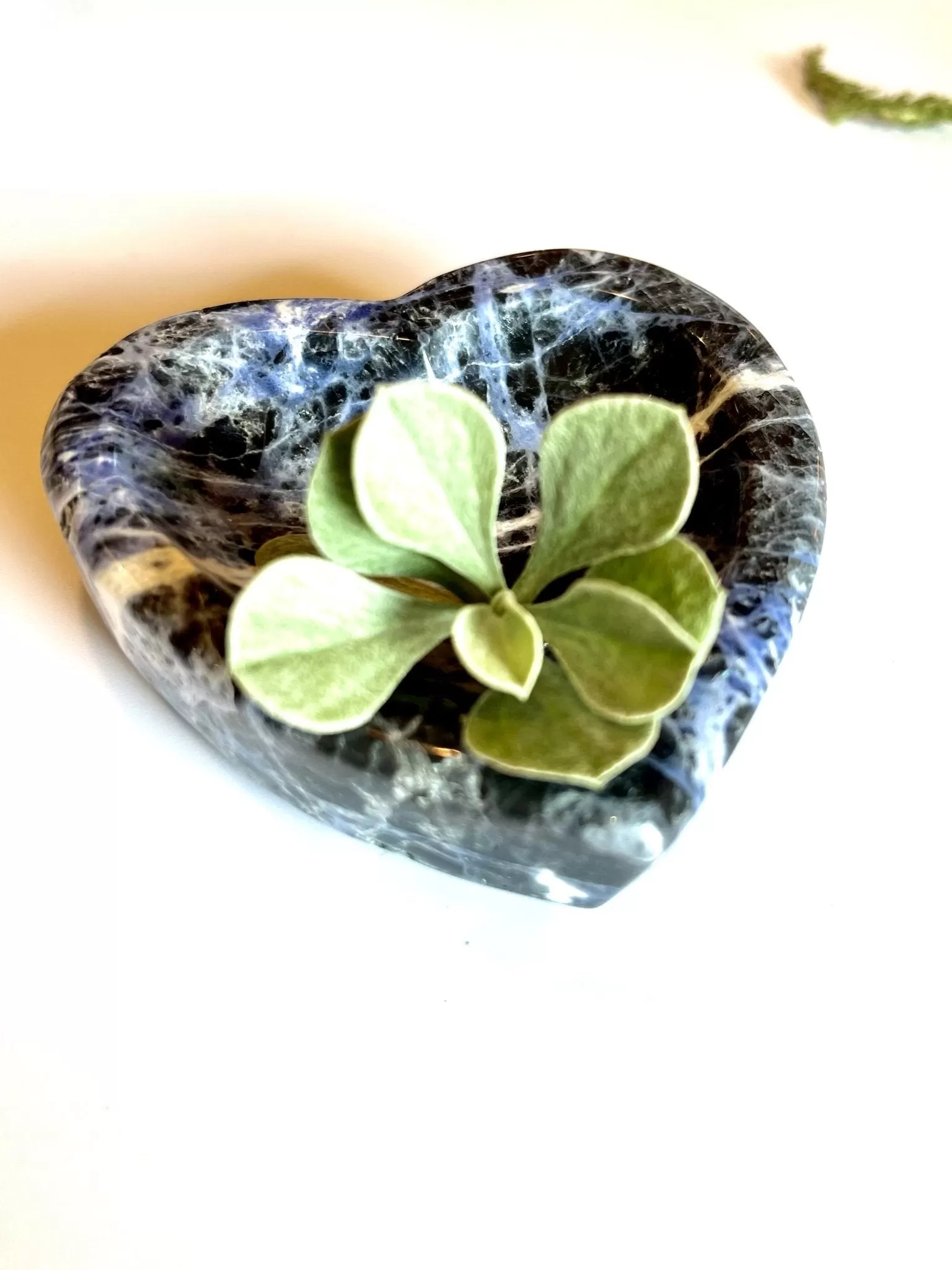 Blue Heart Line Sodalite Dish